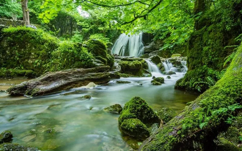 智能系统稳定性高标准